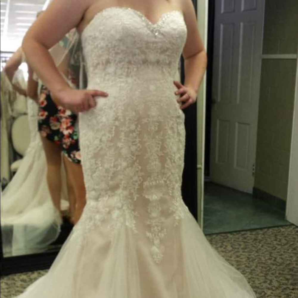 Wedding Dress - Picture 2 of 6